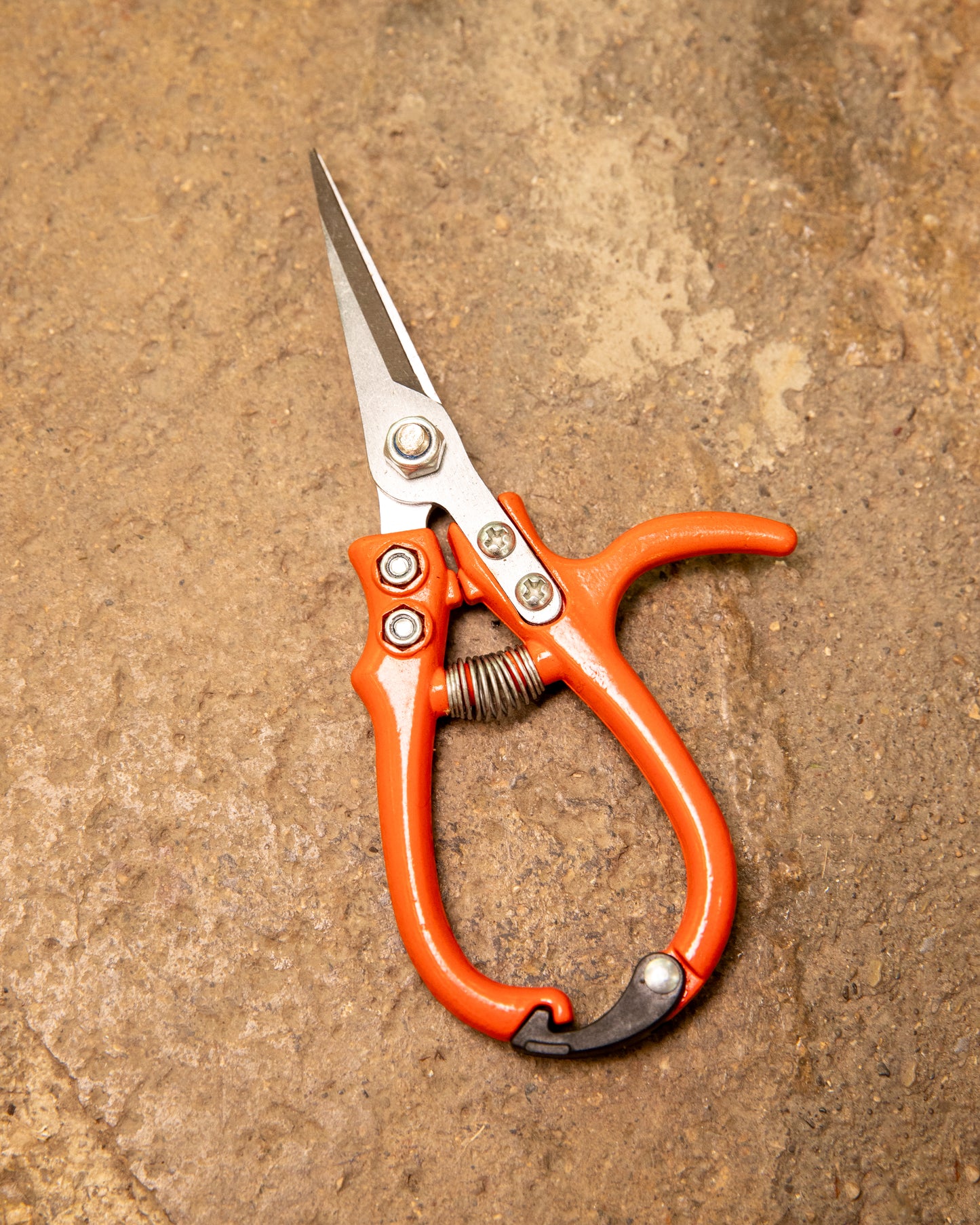 Pruning Shears