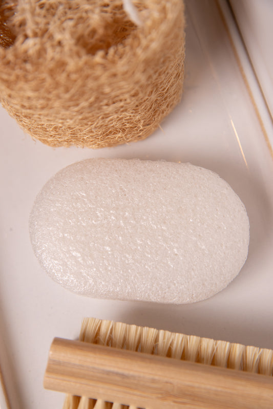 Konjac Plant Sponge